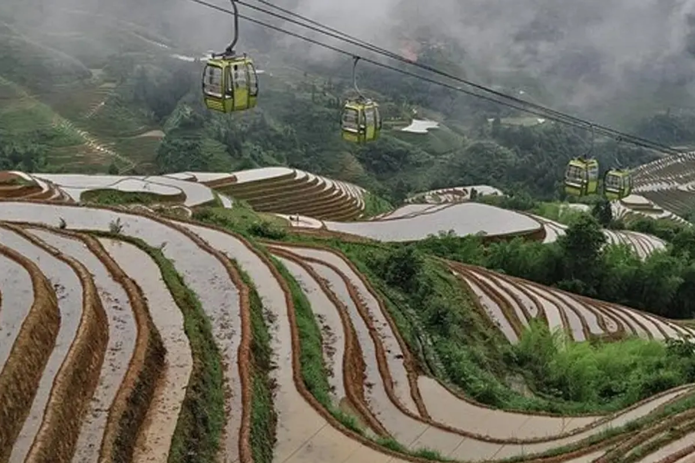 Longji Rice Terraces with the Dazhai Cable Car Private Day Tour